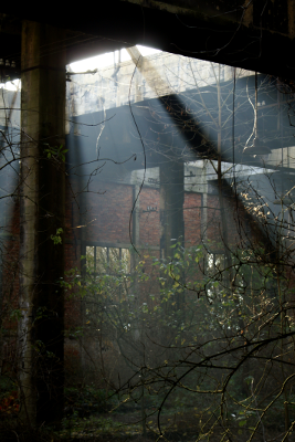 Abandoned 2, par Xavier E. G. Dierick